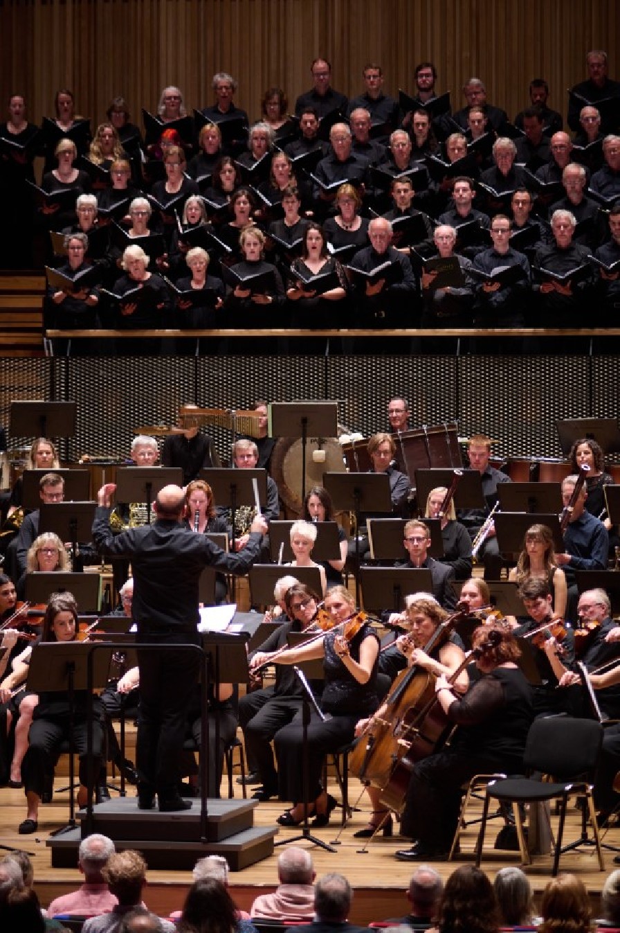 The Orchestra