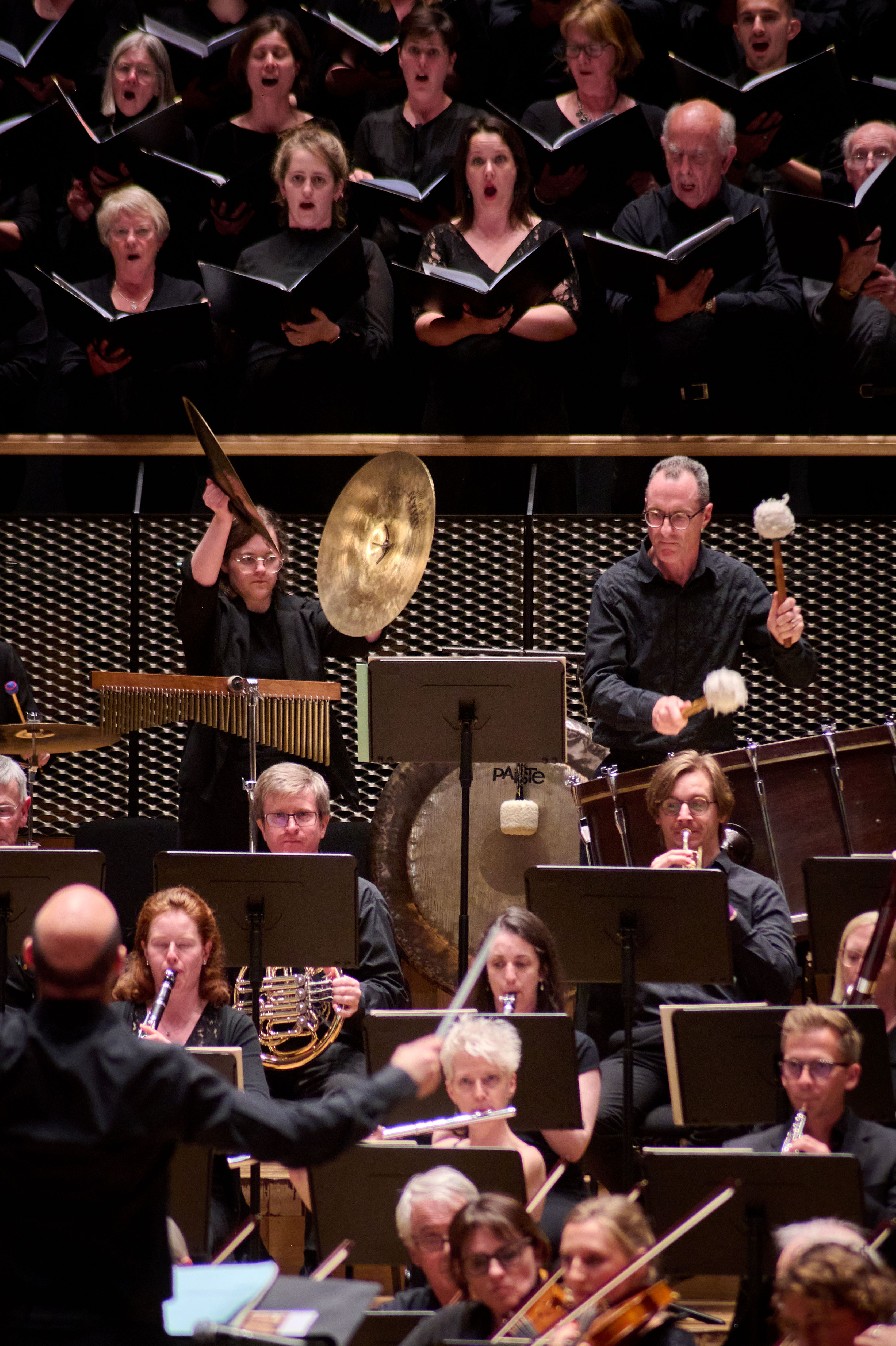 Opportunities within the orchestra